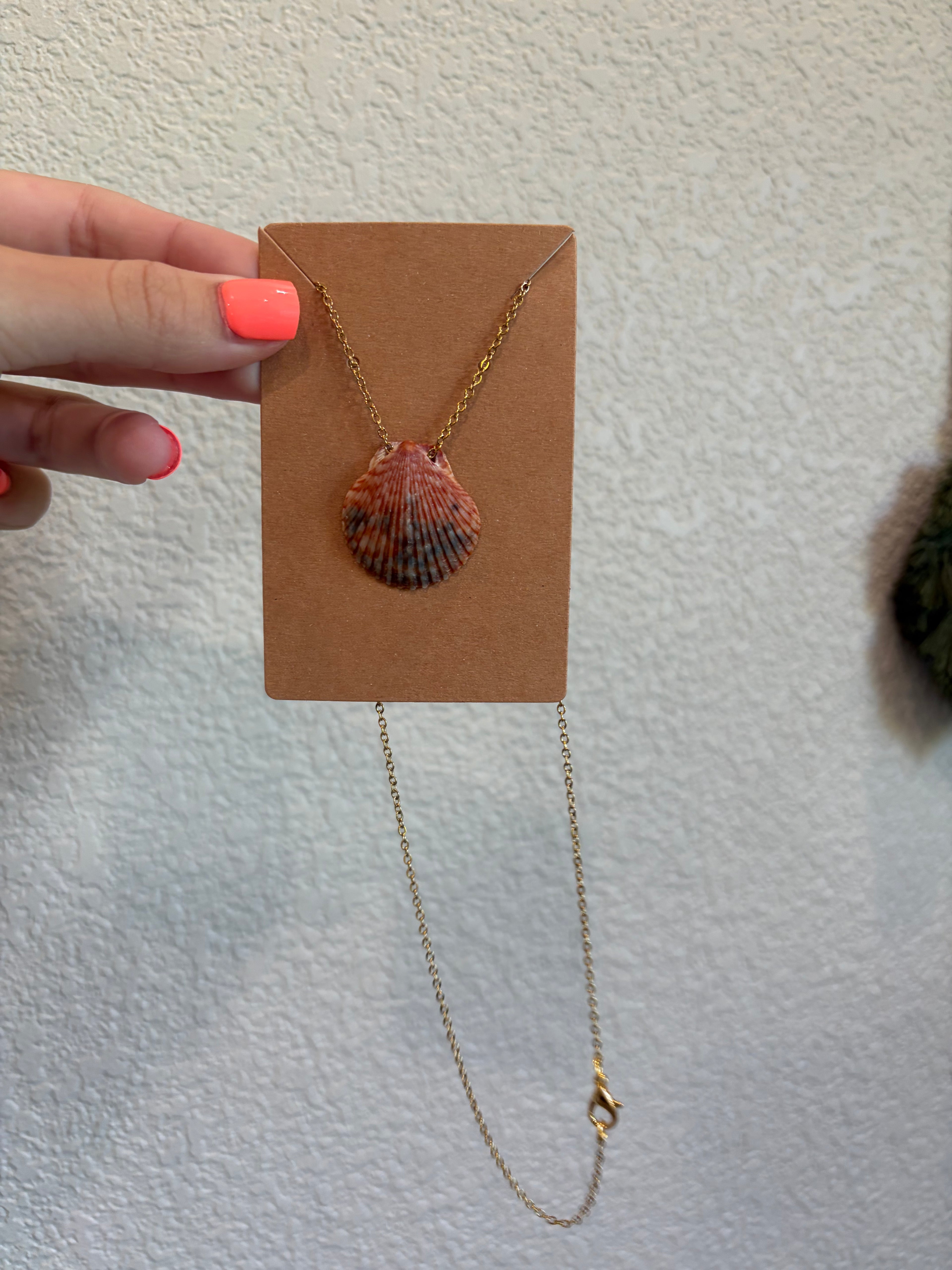 Colorful Shell Necklace
